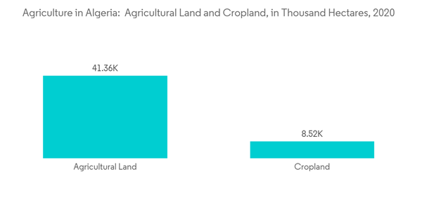 Agriculture In Algeria Agriculture In Algeria Agricultural Land And Cropland In Thousand Hectares 2020 Agriculture In Algeria Agriculture In Algeria Agricultural Land And Cropland In Thousand Hectares 2020