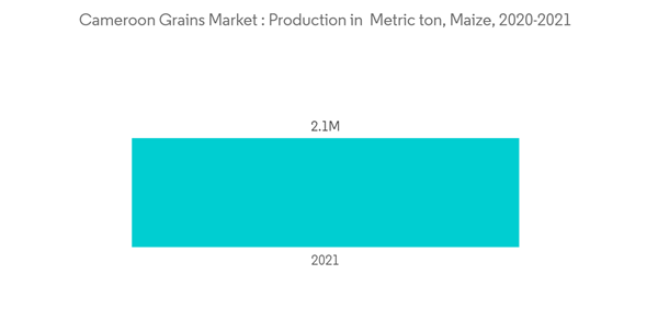 Grains Market In Cameroon Cameroon Grains Market Production In Metric Ton Maize 2020 2021 Grains Market In Cameroon Cameroon Grains Market Production In Metric Ton Maize 2020 2021