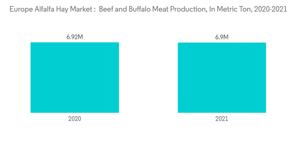 Europe Alfalfa Market Europe Alfalfa Hay Market Beef And Buffalo Meat Production In Metric Ton 2020 2021 Europe Alfalfa Market Europe Alfalfa Hay Market Beef And Buffalo Meat Production In Metric Ton 2020 2021