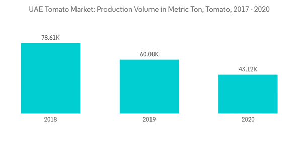 Uae Tomato Market U A E Tomato Market Production Volume In Metric Ton Tomato 2017 2020 Uae Tomato Market U A E Tomato Market Production Volume In Metric Ton Tomato 2017 2020
