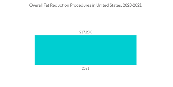 Non Invasive Fat Reduction Market Overall Fat Reduction Procedures In United States 2020 2021 Non Invasive Fat Reduction Market Overall Fat Reduction Procedures In United States 2020 2021