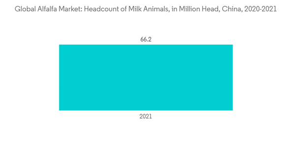 Alfalfa Market Global Alfalfa Market Headcount Of Milk Animals In M Alfalfa Market Global Alfalfa Market Headcount Of Milk Animals In M