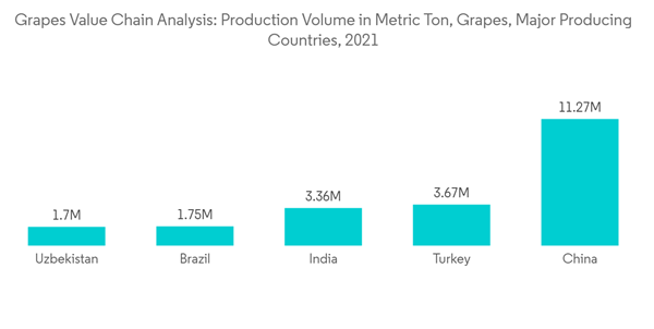 Grapes Value Chain Analysis Grapes Value Chain Analysis Production Grapes Value Chain Analysis Grapes Value Chain Analysis Production