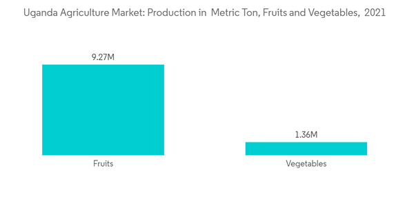 Agriculture In Uganda Industry Uganda Agriculture Market Production Agriculture In Uganda Industry Uganda Agriculture Market Production