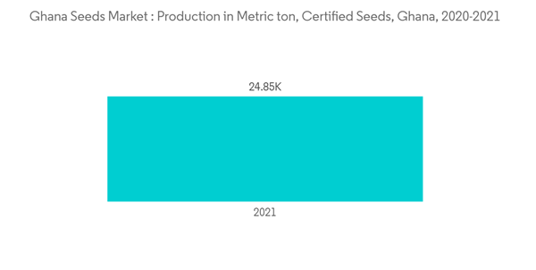 Seed Market In Ghana Ghana Seeds Market Production In Metric Ton C Seed Market In Ghana Ghana Seeds Market Production In Metric Ton C