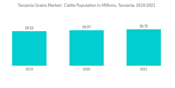 Grains Market In Tanzania Tanzania Grains Market Cattle Population Grains Market In Tanzania Tanzania Grains Market Cattle Population