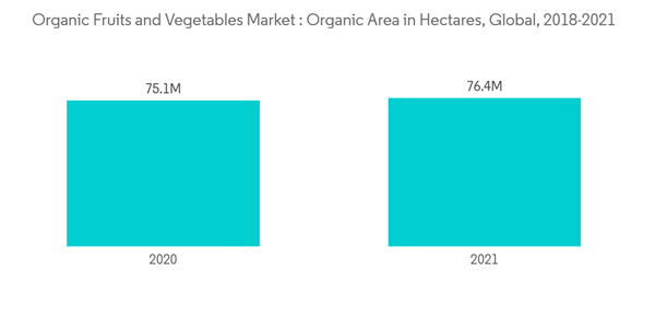 Global Organic Fruits And Vegetables Market Organic Fruits And Vege Global Organic Fruits And Vegetables Market Organic Fruits And Vege
