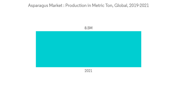 Asparagus Market Asparagus Market Production In Metric Ton Global Asparagus Market Asparagus Market Production In Metric Ton Global