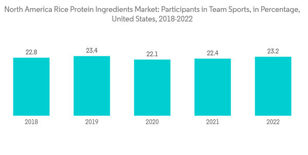 North America Rice Protein Ingredients Market North America Rice Pr North America Rice Protein Ingredients Market North America Rice Pr