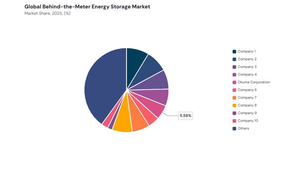 behind-the-meter-energy-storage-market-share-analysis.jpg behind-the-meter-energy-storage-market-share-analysis.jpg