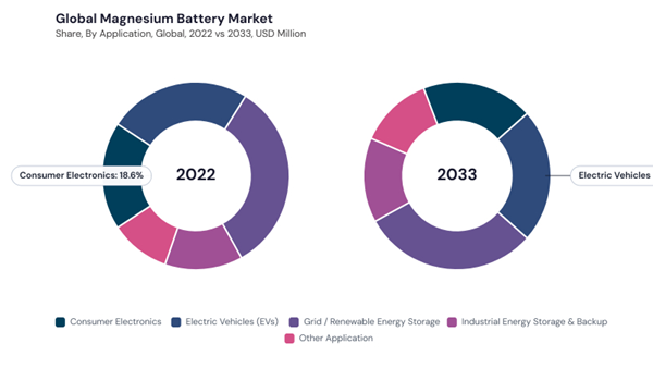 magnesium-battery-market-share.jpg magnesium-battery-market-share.jpg