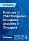 Database of 2646 Companies in Cleaning Activities in Singapore - Product Image
