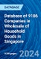 Database of 9186 Companies in Wholesale of Household Goods in Singapore - Product Image