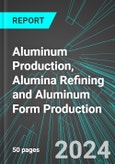 Aluminum Production, Alumina Refining and Aluminum Form Production (U.S.): Analytics, Extensive Financial Benchmarks, Metrics and Revenue Forecasts to 2030, NAIC 331313- Product Image