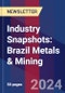 Industry Snapshots: Brazil Metals & Mining - Product Image