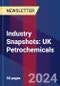 Industry Snapshots: UK Petrochemicals - Product Image