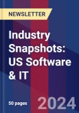 Industry Snapshots: US Software & IT- Product Image