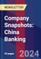 Company Snapshots: China Banking - Product Image