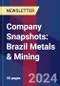 Company Snapshots: Brazil Metals & Mining - Product Image
