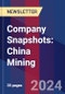 Company Snapshots: China Mining - Product Image
