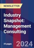 Industry Snapshot: Management Consulting- Product Image
