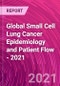 Global Small Cell Lung Cancer Epidemiology and Patient Flow - 2021 - Product Thumbnail Image