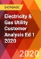 Electricity & Gas Utility Customer Analysis Ed 1 2020 - Product Thumbnail Image
