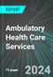 Ambulatory Health Care Services (U.S.): Analytics, Extensive Financial Benchmarks, Metrics and Revenue Forecasts to 2030, NAIC 621000 - Product Thumbnail Image