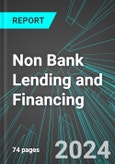 Non Bank Lending and Financing (Shadow Banking) (U.S.): Analytics, Extensive Financial Benchmarks, Metrics and Revenue Forecasts to 2030, NAIC 522200- Product Image