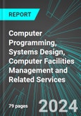 Computer Programming, Systems Design, Computer Facilities Management and Related Services (U.S.): Analytics, Extensive Financial Benchmarks, Metrics and Revenue Forecasts to 2030, NAIC 541500- Product Image