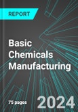 Basic (Organic, Inorganic, Petrochemical and Industrial Gas) Chemicals Manufacturing (U.S.): Analytics, Extensive Financial Benchmarks, Metrics and Revenue Forecasts to 2030, NAIC 325100- Product Image