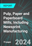 Pulp, Paper and Paperboard Mills, Including Newsprint Manufacturing (U.S.): Analytics, Extensive Financial Benchmarks, Metrics and Revenue Forecasts to 2030, NAIC 322100- Product Image