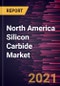 North America Silicon Carbide Market Forecast to 2027 - COVID-19 Impact and Regional Analysis by Type, End-Use Industry, and Country - Product Thumbnail Image