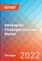 Intrahepatic Cholangiocarcinoma - Market Insight, Epidemiology and Market Forecast -2032 - Product Thumbnail Image