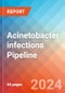 Acinetobacter infections - Pipeline Insight, 2024 - Product Image