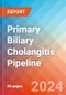 Primary Biliary Cholangitis - Pipeline Insight, 2024 - Product Image