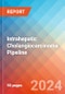 Intrahepatic Cholangiocarcinoma (ICC) - Pipeline Insight, 2024 - Product Image