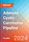 Adenoid Cystic Carcinoma - Pipeline Insight, 2024 - Product Thumbnail Image