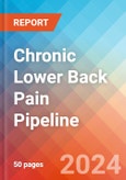 Chronic Lower Back Pain - Pipeline Insight, 2024- Product Image