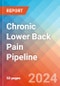 Chronic Lower Back Pain - Pipeline Insight, 2024 - Product Image