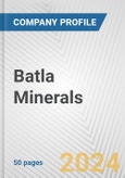 Batla Minerals Fundamental Company Report Including Financial, SWOT, Competitors and Industry Analysis- Product Image