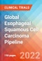 Global Esophageal Squamous Cell Carcinoma - Pipeline Insight, 2022 - Product Thumbnail Image