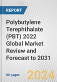 Polybutylene Terephthalate (PBT) 2022 Global Market Review and Forecast to 2031- Product Image