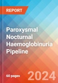 Paroxysmal Nocturnal Haemoglobinuria - Pipeline Insight, 2024- Product Image