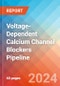 Voltage-Dependent Calcium Channel Blockers - Pipeline Insight, 2024 - Product Image