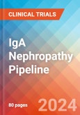IgA Nephropathy (IgAN) - Pipeline Insight, 2024- Product Image
