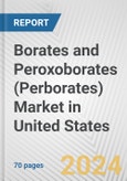 Borates and Peroxoborates (Perborates) Market in United States: Business Report 2024- Product Image