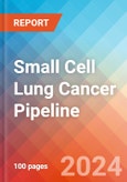 Small Cell Lung Cancer - Pipeline Insight, 2024- Product Image