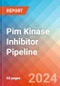 Pim Kinase Inhibitor - Pipeline Insight, 2024 - Product Thumbnail Image