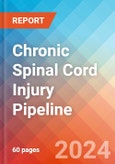 Chronic Spinal Cord Injury - Pipeline Insight, 2024- Product Image